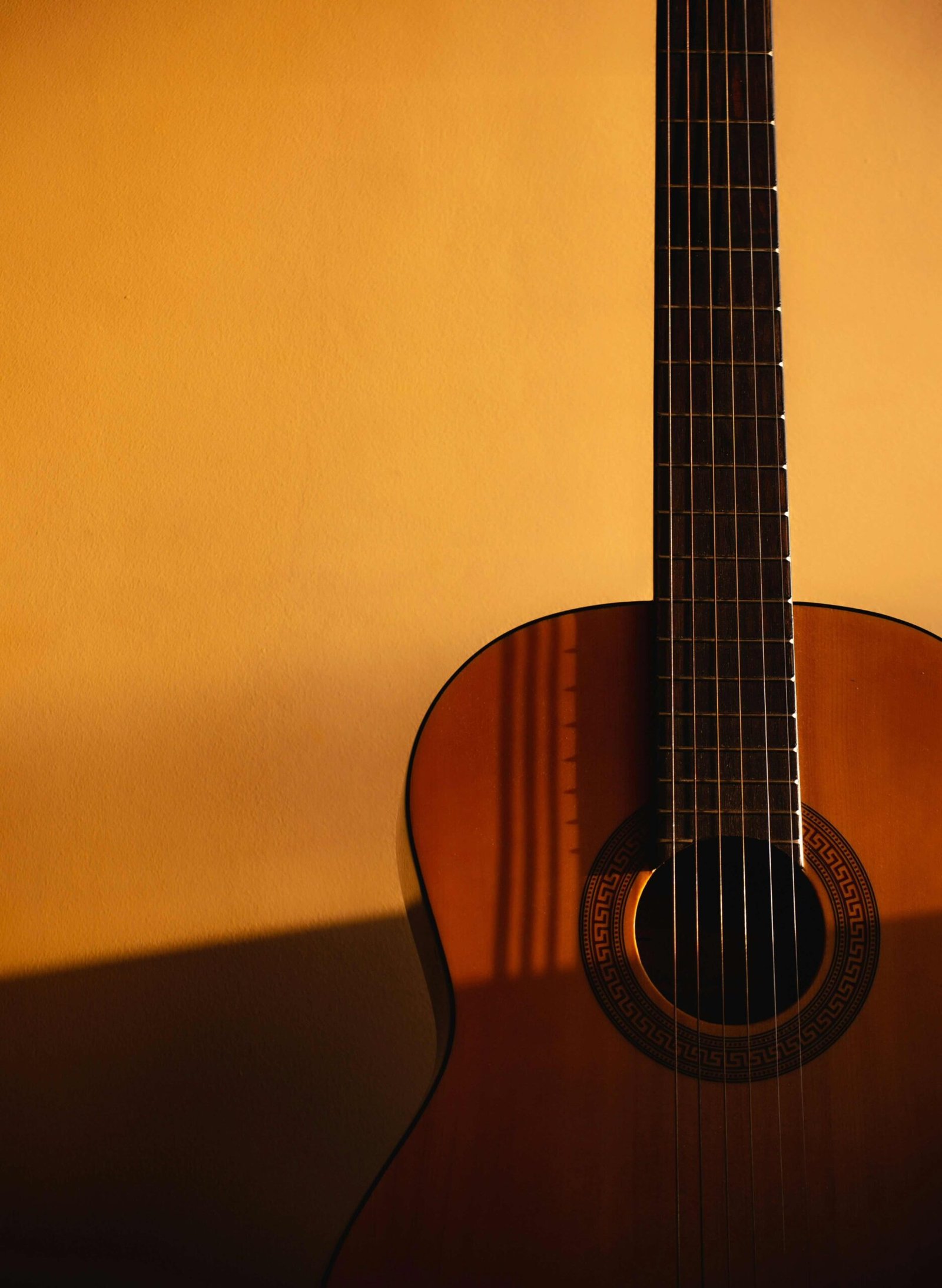 Flamenco gitaar